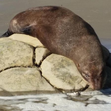 Moeraki Boulders Motel Hampden Екстер'єр фото