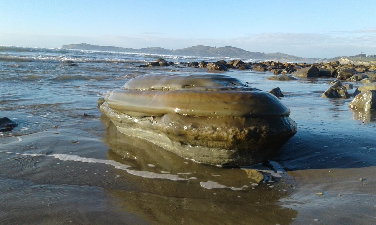 Moeraki Boulders Motel Hampden Екстер'єр фото